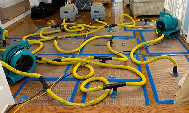 Professional Sewage Cleanup technician working in University Park, TX